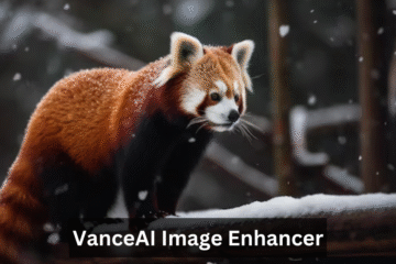 VanceAI Image Enhancer