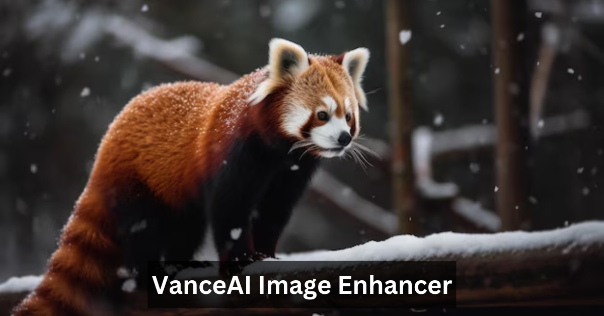 VanceAI Image Enhancer
