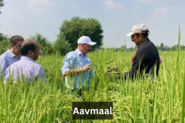 Aavmaal