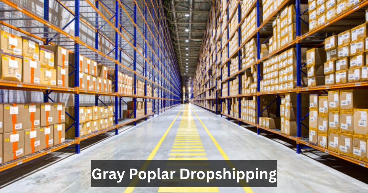 Gray Poplar Dropshipping