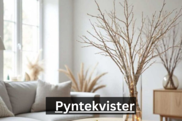 Pyntekvister
